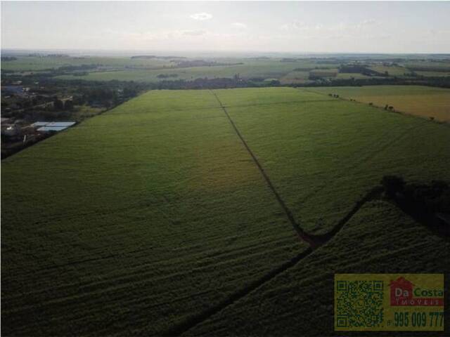 #FA0007 - Fazenda para Venda em Dourados - MS - 2