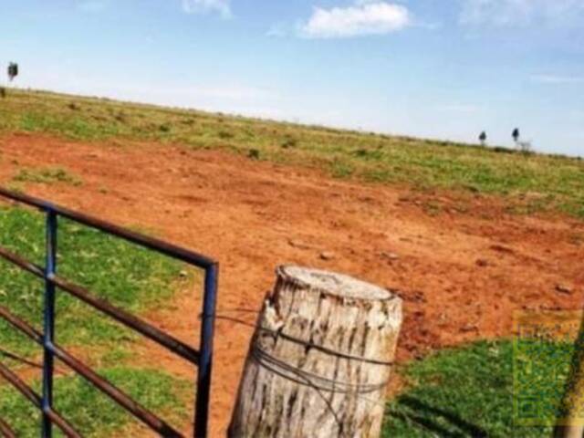 #FA0009-DCI - Fazenda para Venda em Bataguassu - MS - 1