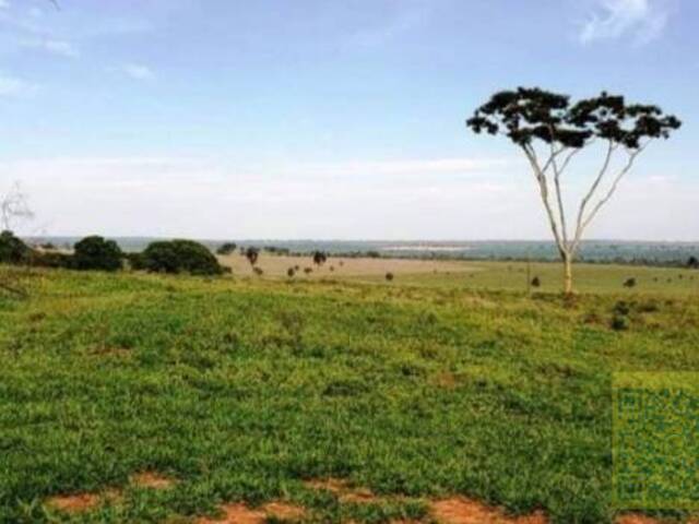 Fazenda para Venda em Bataguassu - 5
