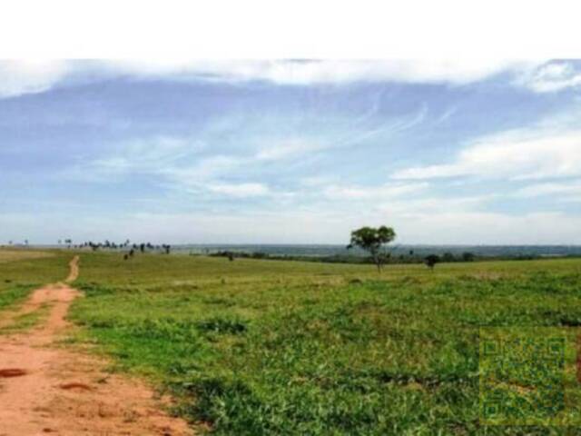 #FA0009-DCI - Fazenda para Venda em Bataguassu - MS - 3