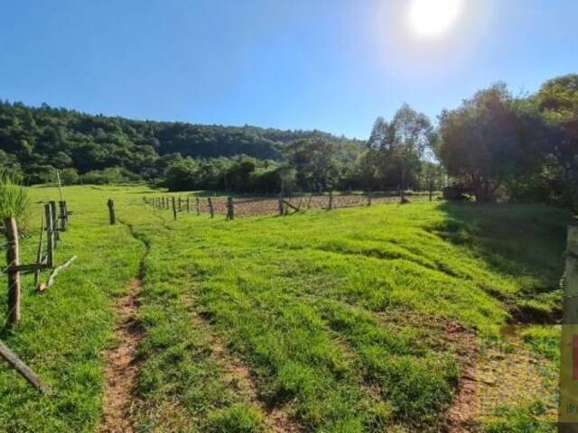 Área para Venda em Taquara - 4