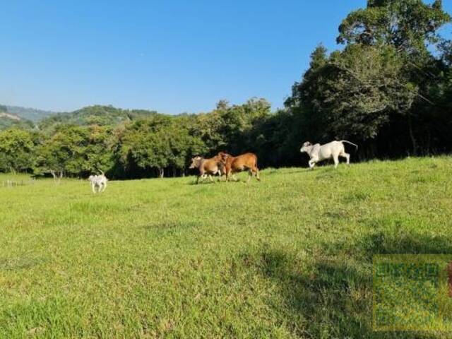 #AR0019 - Área para Venda em Taquara - RS - 2