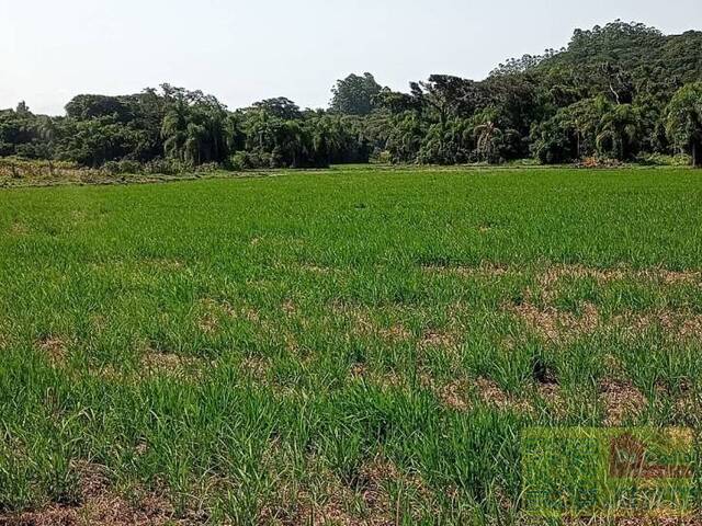 Área para Venda em Torres - 4