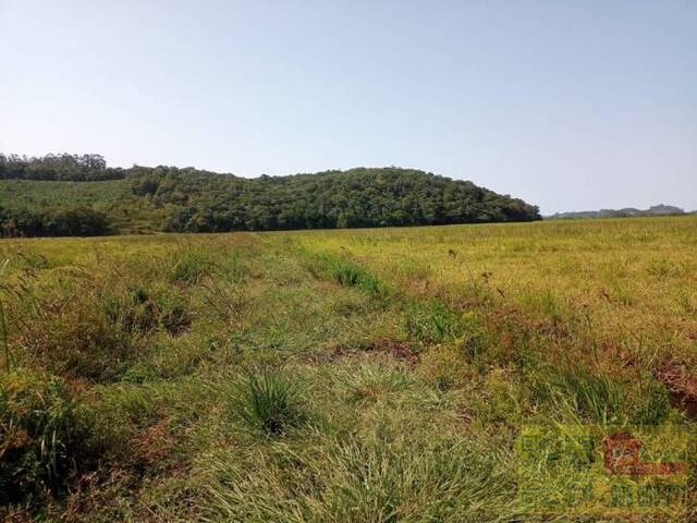 Área para Venda em Torres - 5