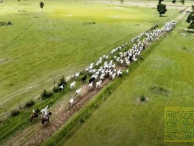 Fazenda para Venda em Aquidauana - 5