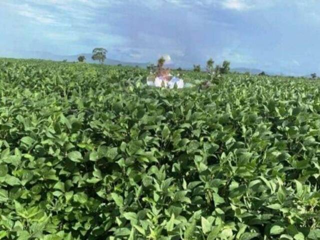 #FA0010-DCI - Fazenda para Venda em Aquidauana - MS - 3