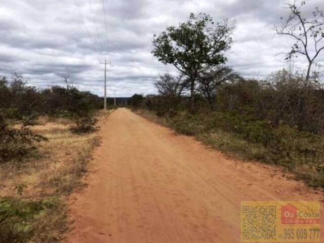 #FA0011-DCI - Fazenda para Venda em Aroazes - PI - 3
