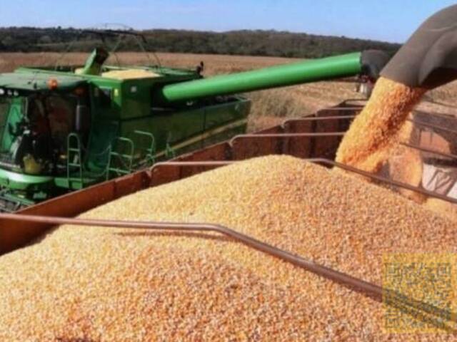#FA0011 - Fazenda para Venda em Palmeira do Piauí - PI - 1