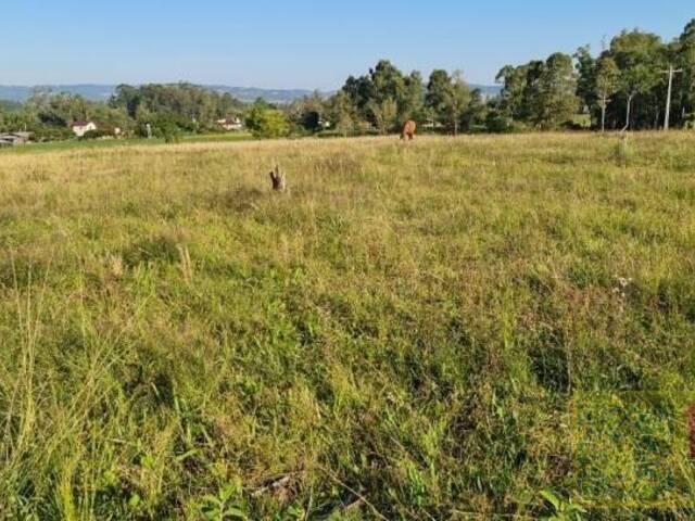 Chácara para Venda em Araricá - 4