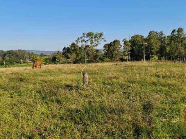 Chácara para Venda em Araricá - 5