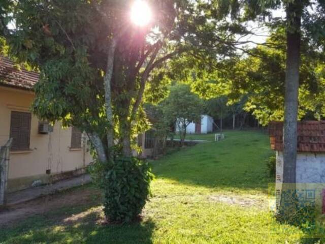 Área para Venda em Gravataí - 5