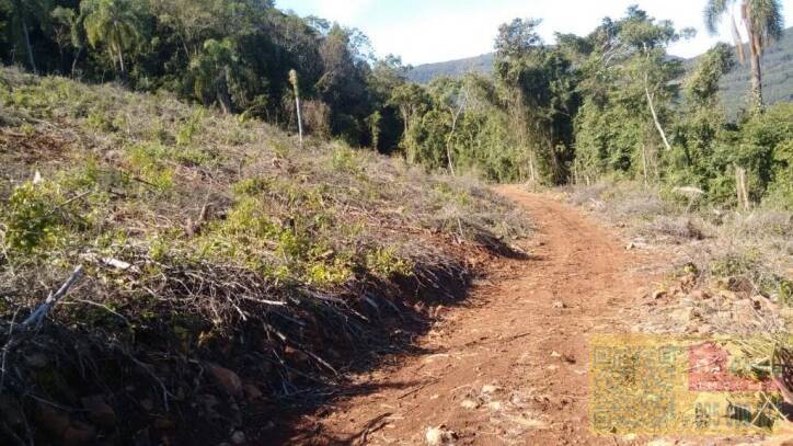 Sítio com 3 dormitórios à venda, 30000 m² por R$ 380.000,00 - Sampaio Ribeiro - Riozinho/RS