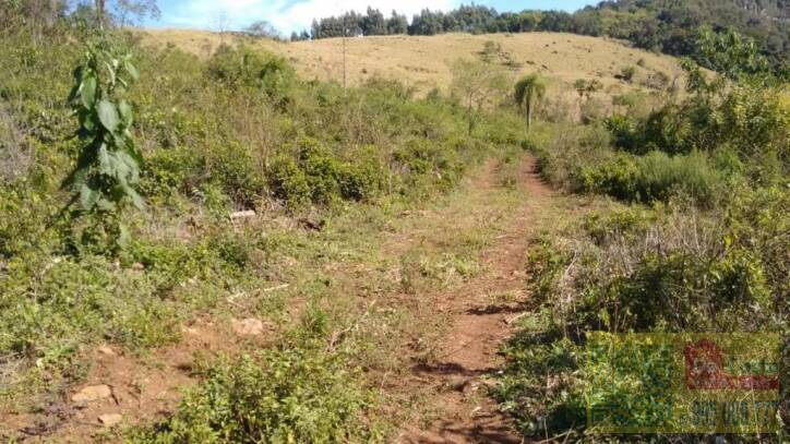 Sítio à venda, 300000 m² por R$ 950.000,00 - Sampaio Ribeiro - Riozinho/RS