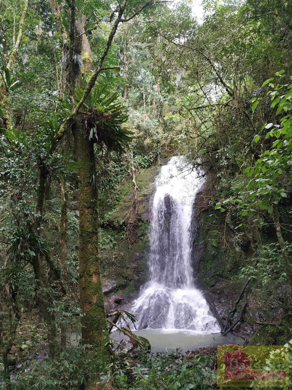 Área de terras com 30 hectares na Zona Rural de Riozinho - RS