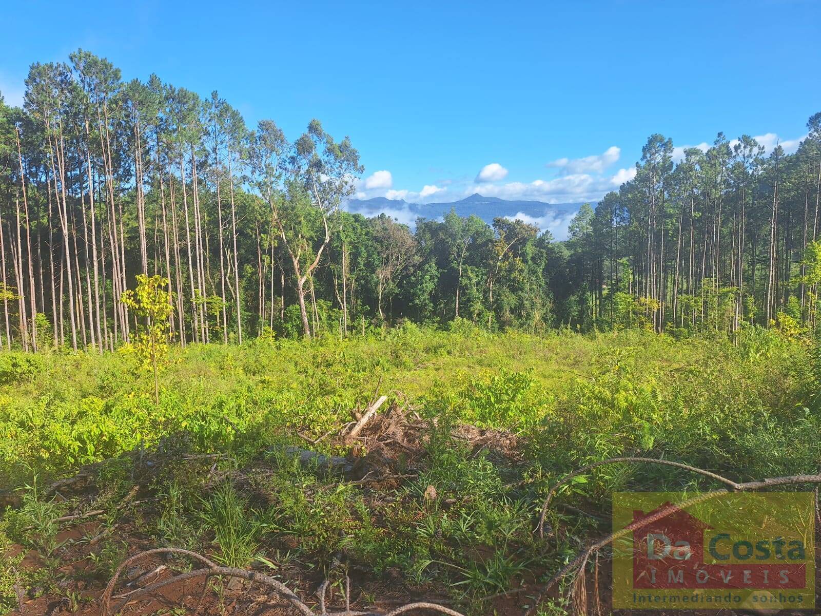 Sítio à venda com 4.9 hectares em Riozinho - RS