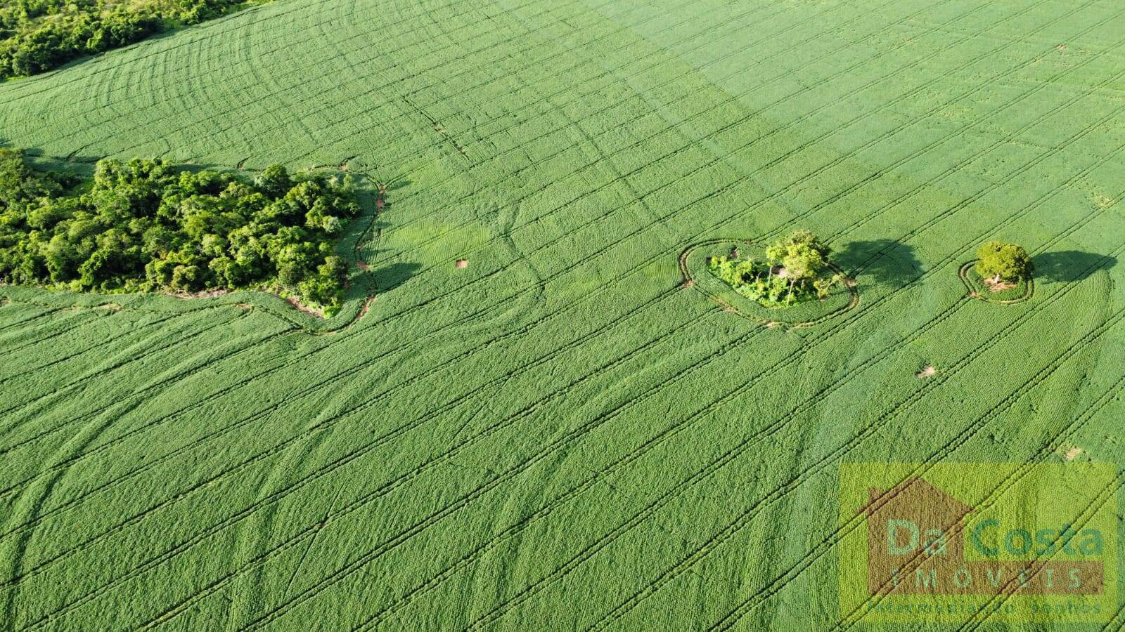 Fazenda em dupla aptidão com 1.230 hectares à venda em Anastácio – MS