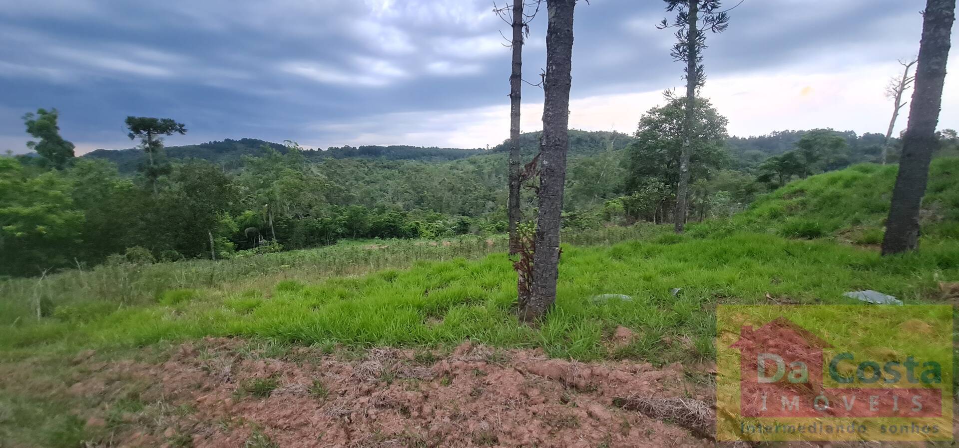 Sítio com 10.000 m² RS 020 Pad. 102 - Morungava/Gravataí - RS