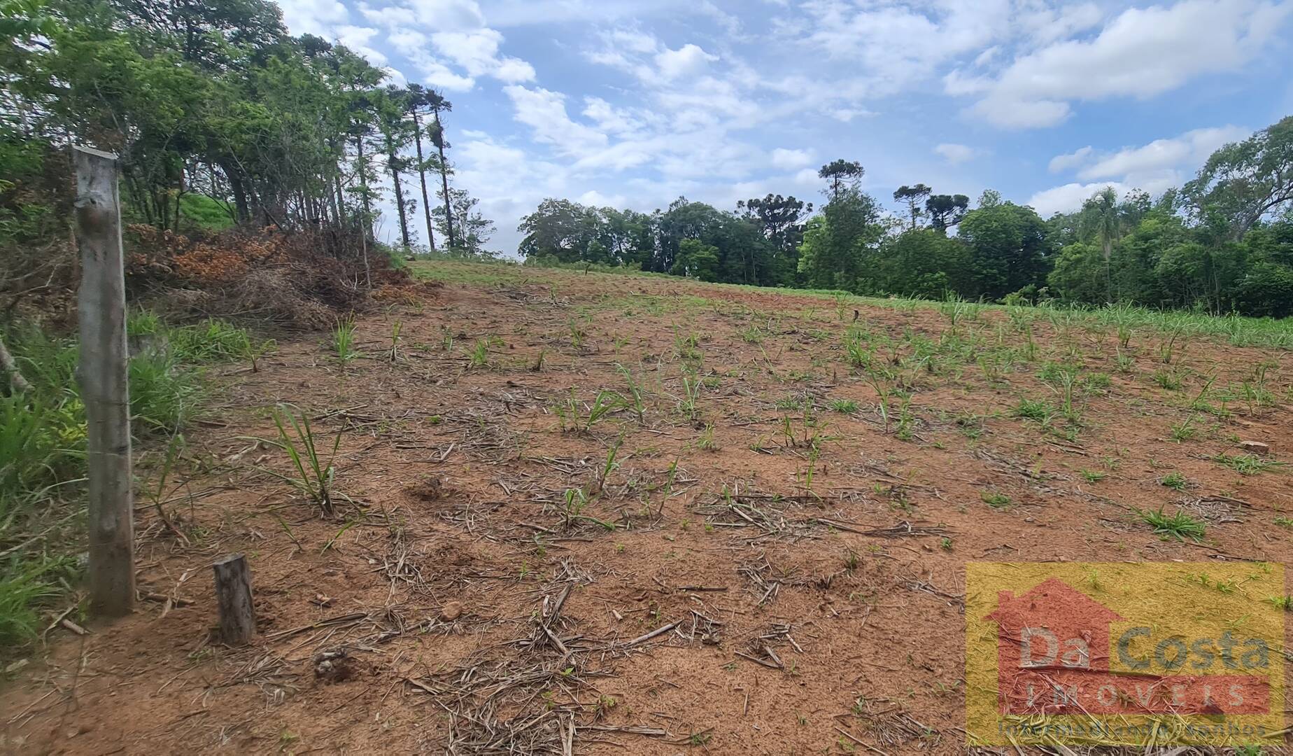 Sítio com 10.000 m² RS 020 Pad. 102 - Morungava/Gravataí - RS