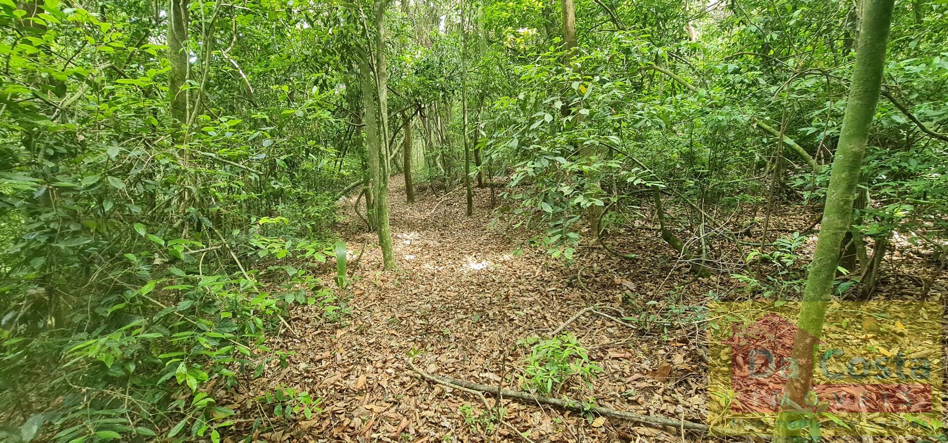Sítio com 10.000 m² RS 020 Pad. 102 - Morungava/Gravataí - RS