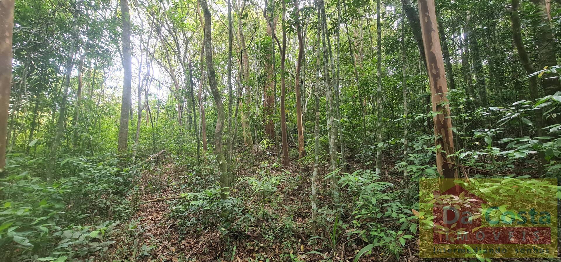 Sítio com 10.000 m² RS 020 Pad. 102 - Morungava/Gravataí - RS
