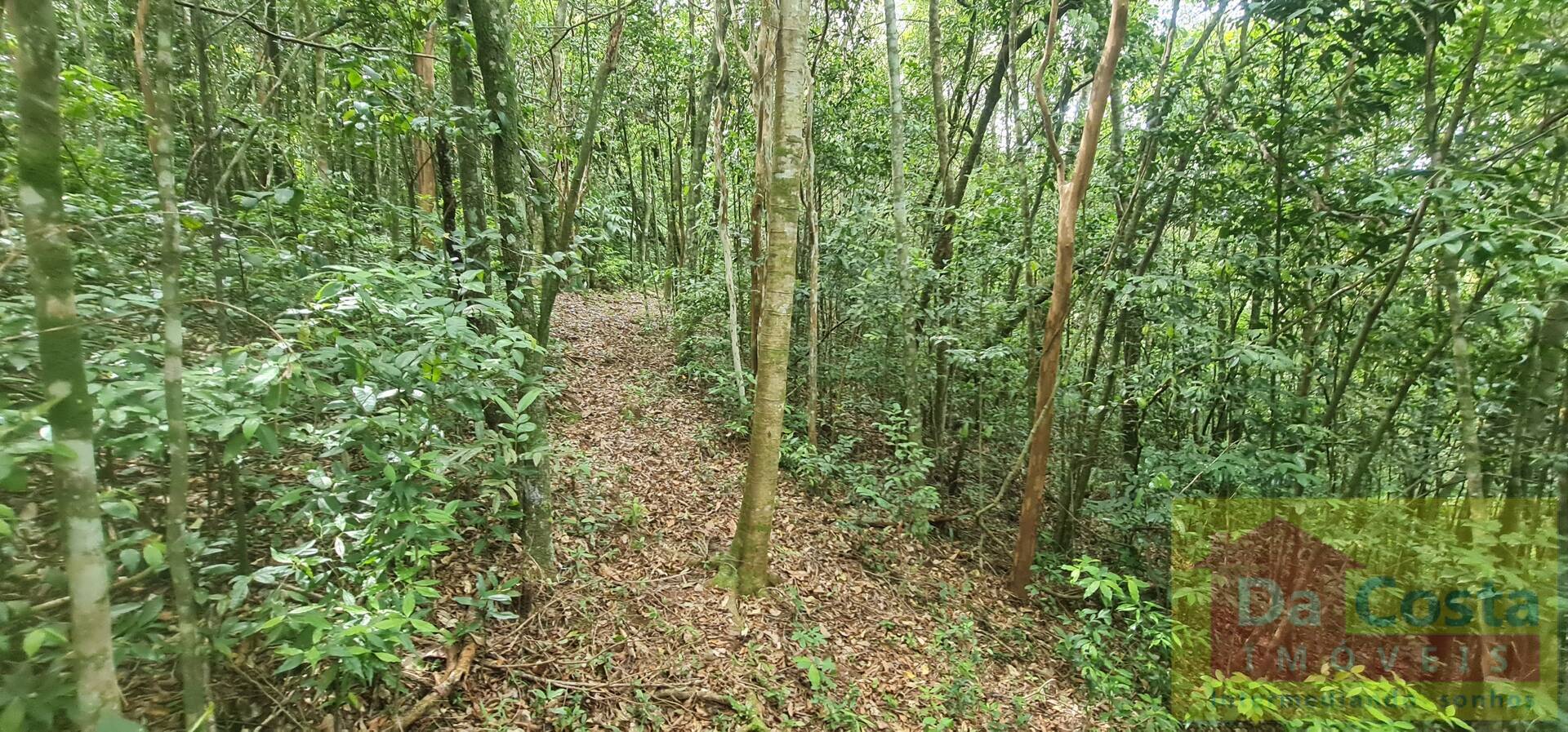 Sítio com 10.000 m² RS 020 Pad. 102 - Morungava/Gravataí - RS
