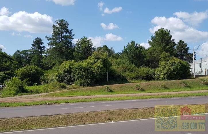 Terreno à venda, 5.786 m² - Amaral Ribeiro - Sapiranga - RS