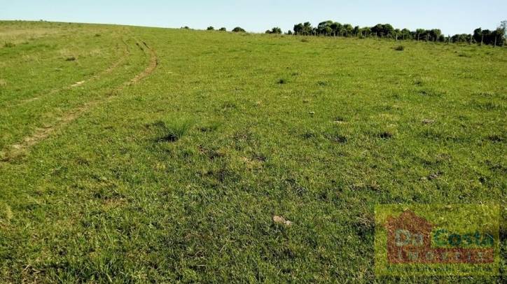 Fazenda com 503 hectares em São Lourenço do Sul - RS
