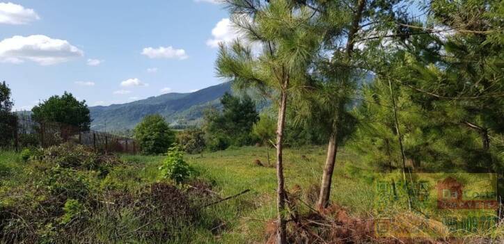 Terreno à venda, 12.061 m² - Amaral Ribeiro - Sapiranga - RS