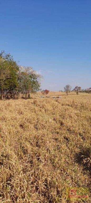 Fazenda à venda, 2.150.000 m²  - Diamantina - Camapuã - MS
