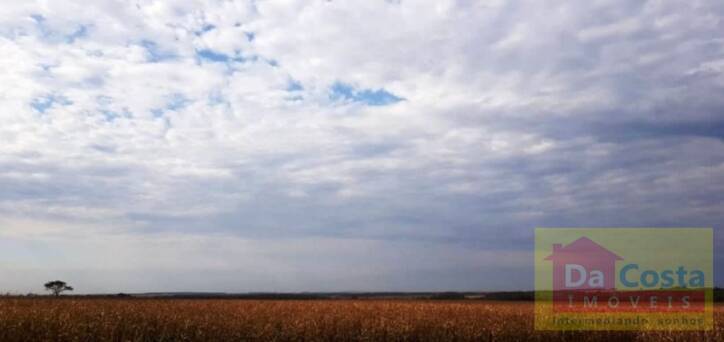 Fazenda à venda, 2.980.000 m²  - Bairro Paraguaí - Maracaju - MS