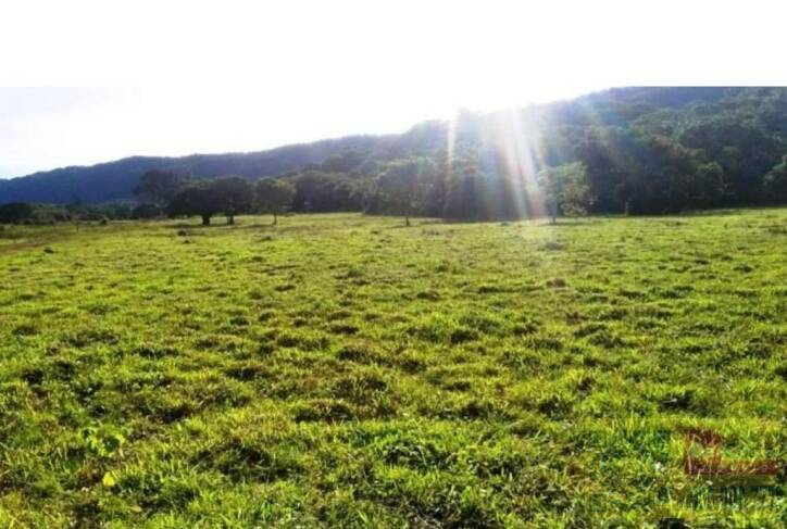 Fazenda com à venda, 11.400.000 m²-Bairro Santa Cruz - Barra do Bugres - MT