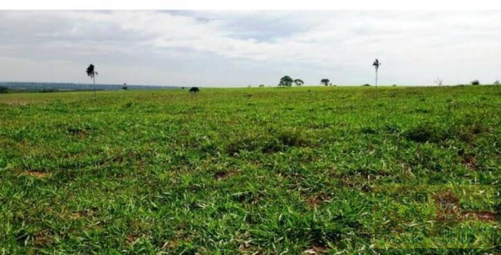 Fazenda à venda, 355 Ha "147 alquieres"  - Zona Rural - Bataguassú - MS