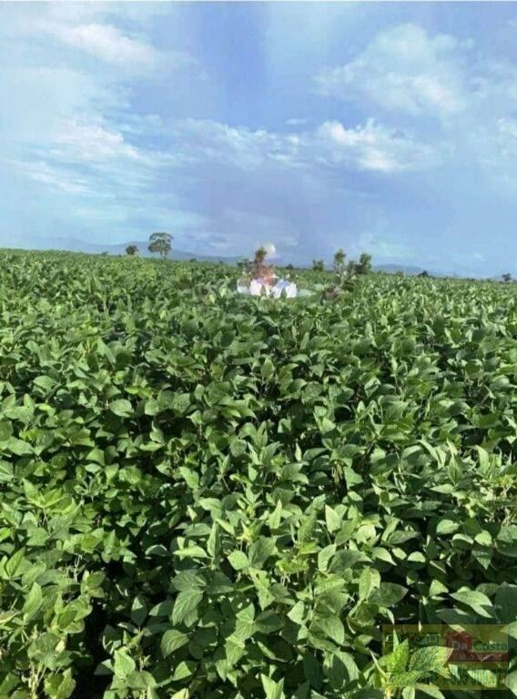 Fazenda à venda, 87.703 Ha  - Alto - Aquidauana - MS